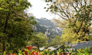 原创 
            我国北方，绝大多数庙堂大门是朝南开的，为什么崂山太清宫朝东开