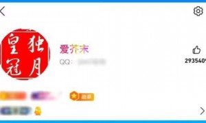 全球首个满级腾讯QQ诞生！256级用户喜提“金企鹅”