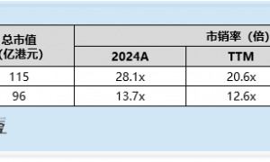 希迪智驾启动全球发售：收入高增长背后亏损持续扩大 回款逾期风险暴露 经营现金流持续大额流出