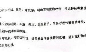 银环蛇之祸？三亚死亡女游客抢救记录曝光｜封面头条