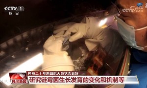 “太空出差”50余天 神二十乘组最近在忙啥？